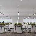 Modern Spacious Public Office Space with Workstations Computers Office Chairs Lighting Windows Green Plants 3d model