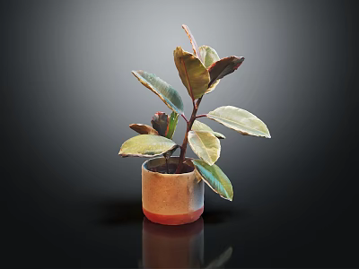 Vibrant Indoor Houseplant With Green And Red Leaves In Brown Decorative Pot 3d model