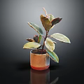 Vibrant Indoor Houseplant With Green And Red Leaves In Brown Decorative Pot
