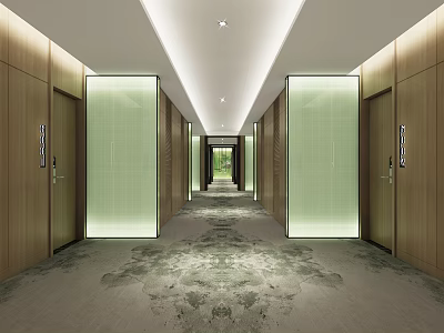 Modern Hotel Corridor Design With Wooden Doors Illuminated Glass Panels Ceiling Lights And Carpet 3d model