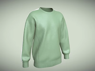 Light Green Long Sleeve Sweater With Round Neck And Casual Design 3d model