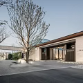 Modern Garden Landscape Featuring Stone Pathway Tree And Building Entrance