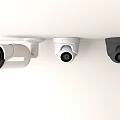 Ceiling Mounted Surveillance Cameras In White And Black Dome And Bullet Types