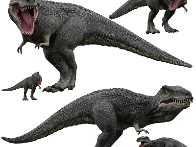 Realistic Reptile Models Featuring Scaly Skin Ferocious Posture Open Mouth And Various Sizes 3d model