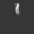 Human Foot Bones Anatomical Structure 3D Rendering With Detailed Skeletal Components
