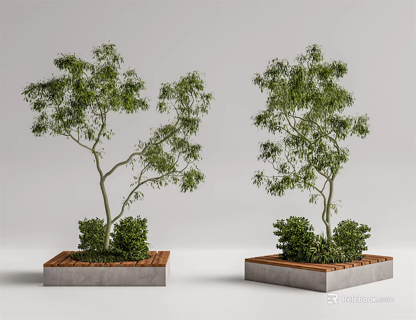 Square Tree Planters With Concrete Borders Wooden Sections And Small Shrubs 3d model 