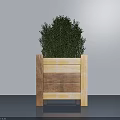 Bonsai Plant in Wooden Square Planter with Lush Green Foliage for Modern Indoor Decor