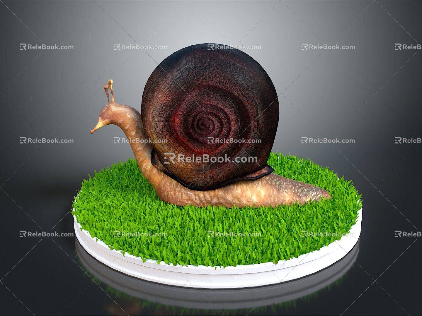 Snail Cartoon Snail Snail Small Snail Reptile Cold Blooded Animal Reptile 3d model