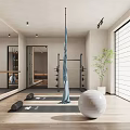 Modern Yoga Studio Interior With Aerial Hammock Yoga Ball Mats Mirrors and Plants