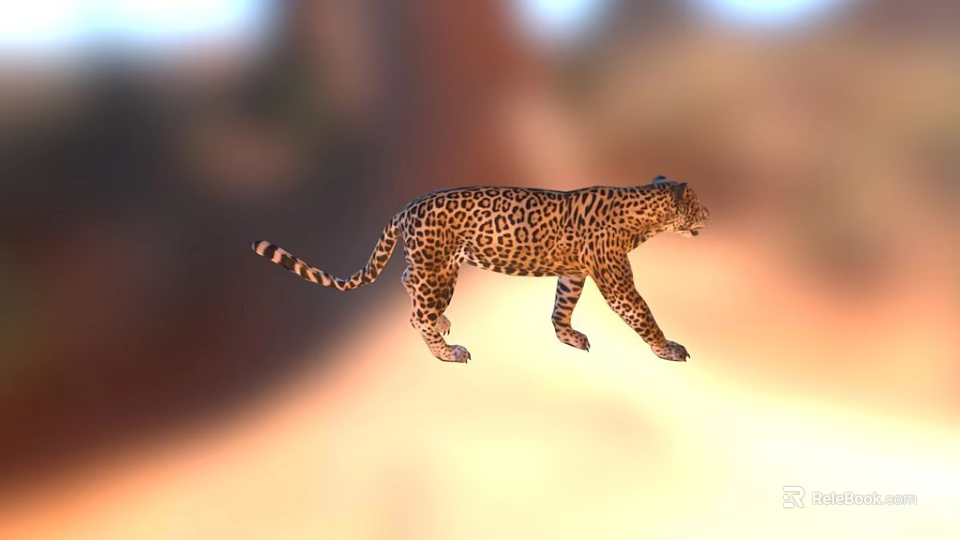 Graceful Spotted Leopard Walking In Sunlit Natural Habitat With Distinctive Fur 3d model 