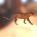 Graceful Spotted Leopard Walking In Sunlit Natural Habitat With Distinctive Fur