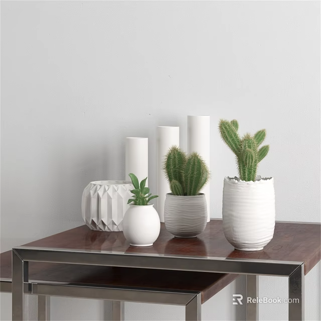 White Ceramic Vases With Cactus Plants On Wooden Table Against White Wall For Home Decor 3d model 