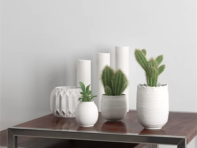 White Ceramic Vases With Cactus Plants On Wooden Table Against White Wall For Home Decor 3d model