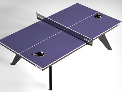 Sports Equipment Ping Pong Table With Purple Surface Net Rackets And Balls 3d model