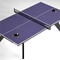 Sports Equipment Ping Pong Table With Purple Surface Net Rackets And Balls