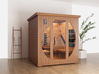Modern Wooden Sauna Featuring Glass Door Interior Bench And Green Plant Indoor 3d model