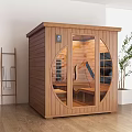 Modern Wooden Sauna Featuring Glass Door Interior Bench And Green Plant Indoor