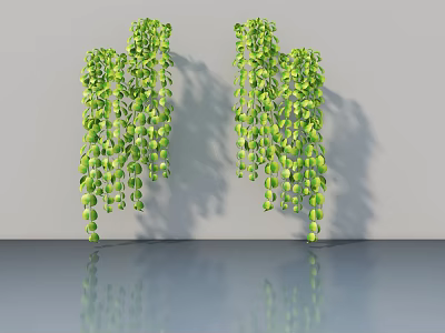 Lush Green Hanging Vines With Dense Leaves Against Gray Wall And Reflection 3d model