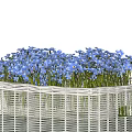 Elegant White Wicker Basket Potted Plant With Blooming Blue Flowers Decor