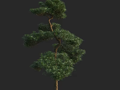 Lush Green Arbor With Curved Branches Unique Structure Isolated On Dark Background 3d model
