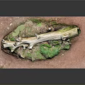 Natural Wood Log Decorative Scene With Red Base And Green Moss