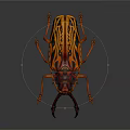 Orange and Black Striped Beetle With Long Antennae Large Mandibles and Distinctive Exoskeleton