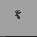 Realistic Tree Models With Green Leaves Roots And Reflections On Gray
