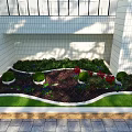 Road Facilities Green Area With Trimmed Shrubs Colorful Flowers Lawn White Border Gray Stone Pavement