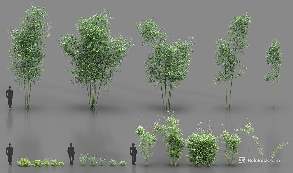Diverse Bamboo Varieties In Various Heights And Growth Forms For Garden Landscaping 3d model 