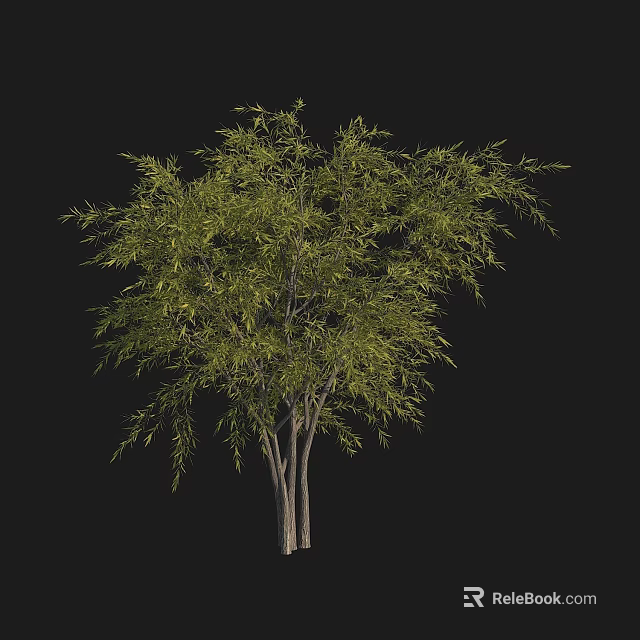 Healthy Tall Arbor Tree With Lush Green Foliage And Strong Straight Trunk In Natural Growth 3d model 