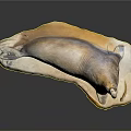 Realistic Seal Sculpture In Lying Pose With Rocky Base And Open Mouth