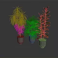 Lush Indoor Plants of Different Varieties in Metal Planters with Grey Background