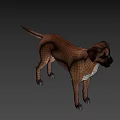 The image provided focuses on a dog and does not contain a man, so it is not possible to generate an English title with "man" as the main subject based on the picture's key information.