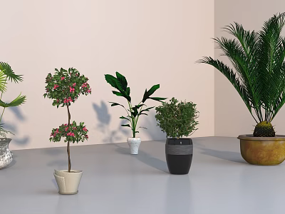 Modern Potted Plant 3d model