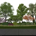 Colorful Shrubs in Garden Landscape with Various Trees Green Grass and Stone Path