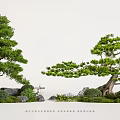 Japanese Garden Landscape With Pine Trees Stone Arrangement Green Shrubs And Miniature Pavilion