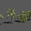 Various Arbor Trees With Green Leaves And Different Trunk Shapes 3d model
