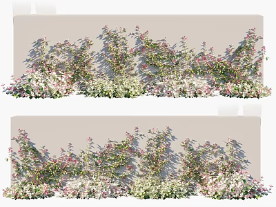 Lush Flowering Climbing Vines With Pink White Blooms And Green Leaves On Garden Wall 3d model