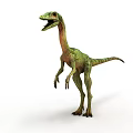 Realistic Green Standing Dinosaur With Long Neck Tail And Bipedal Stance