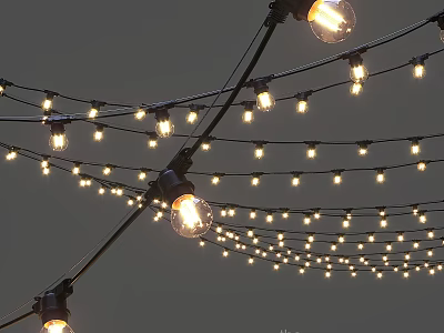 Outdoor String Lights With Bright Hanging Bulbs For Garden Patio Party Decoration 3d model