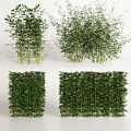 Various Bamboo Types Featuring Natural Clusters And Decorative Screen Panels 3d model