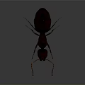 3D Rendered Dark Brown Ant With Long Antennae On Gray Background