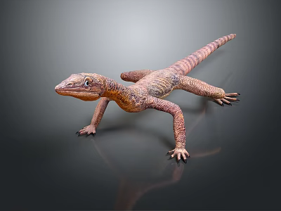 Brown and Orange Lizard With Detailed Skin Texture Standing On Dark Gray Background 3d model