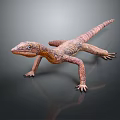 Brown and Orange Lizard With Detailed Skin Texture Standing On Dark Gray Background