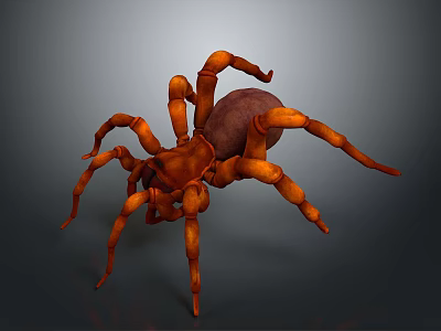 Orange Spider with Large Body and Jointed Legs on Gray Background 3d model
