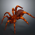 Orange Spider with Large Body and Jointed Legs on Gray Background
