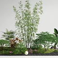 Lush Green Shrubs Garden Landscape With Bamboo Palm Plants Stones And Small Lights