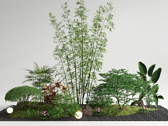 Courtyard sketch plant combination bamboo landscape landscaping plant pile garden landscape 3d model