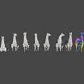 Colorful And Monochrome Llamas In Low Poly 3D Design Line Arrangement