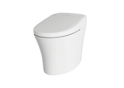 Ceramic toilet 3d model